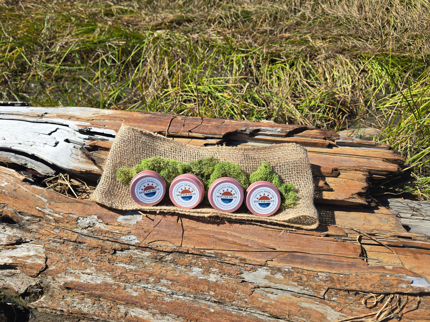 Skin Fab Salve