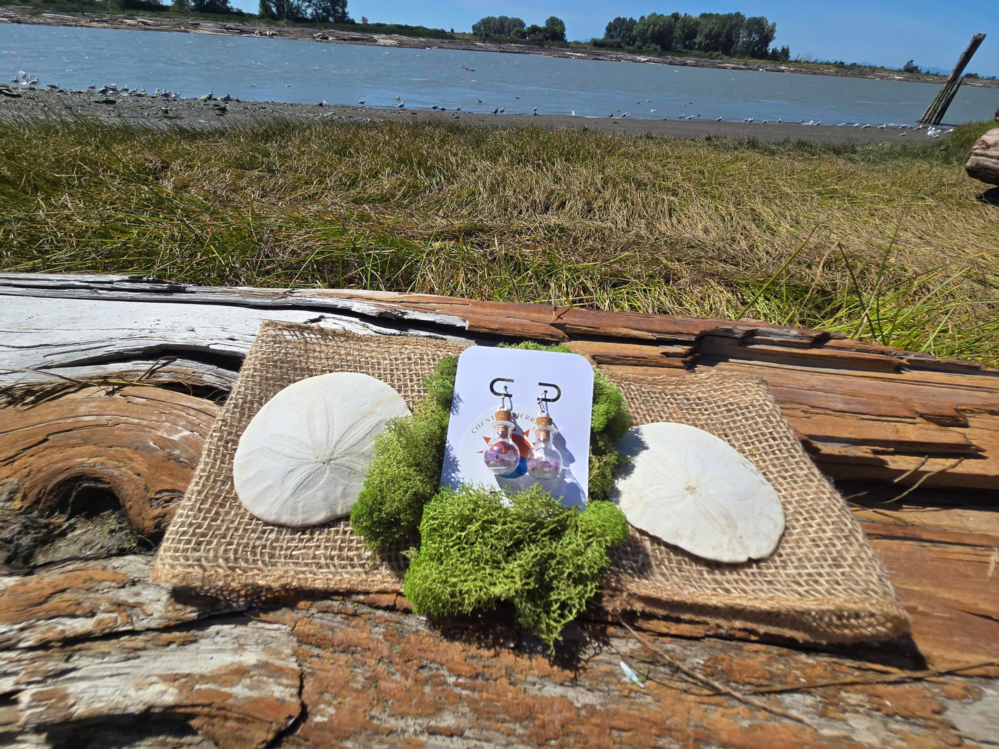 Coastal Tierra Kin "Rocks in a Bottle" Earrings